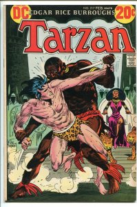 TARZAN #217 1973-DC-EDGAR RICE BURROUGHS-JOE KUBERT JUNGLE ART-vf minus