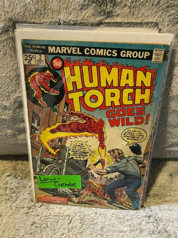 Lot of 4 Books The HUMAN TORCH Issue 2 3 4 5 Low Grade Marvel Comics