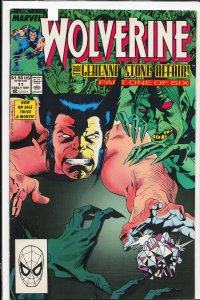 Wolverine #11 (1989) Wolverine