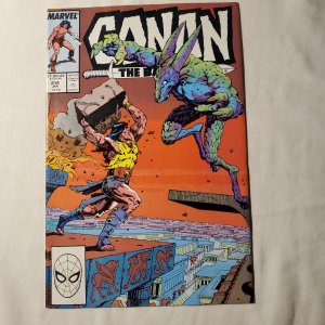 Conan the Barbarian 214 Near Mint-