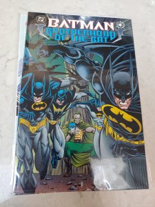 Batman: Brotherhood of the Bat (1995)