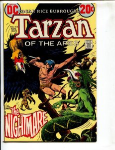 Tarzan #214  1972 - DC  -NM- - Comic Book