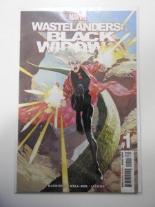 Wastelanders: Black Widow (2022)