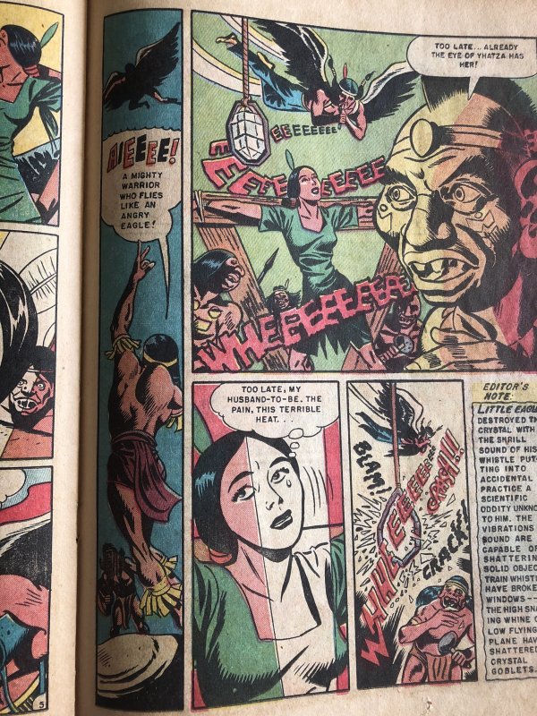 Indian fighter 10, reader, wild bondage& clown stories