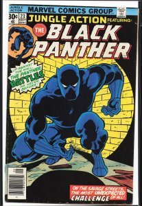 Jungle Action #23 (1976) Black Panther