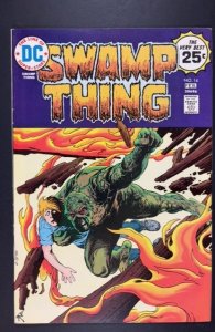 Swamp Thing #14 (1975)