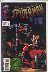 The Spectacular Spider-Man #219 (1994) Spider-Man