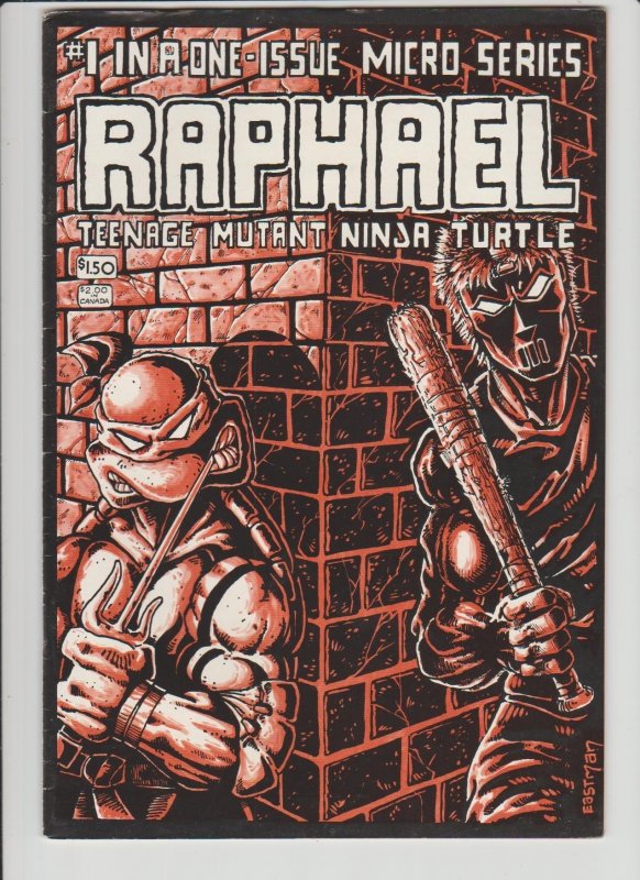 Teenage Mutant Ninja Turtles Raphael (1984)*Price Drop*