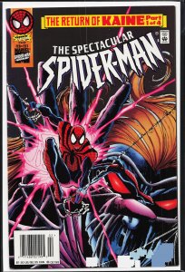 The Spectacular Spider-Man #231 (1996) Spider-Man