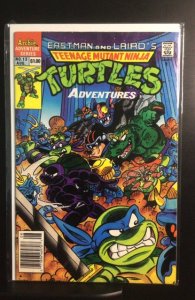 Teenage Mutant Ninja Turtles Adventures #13  (1990)