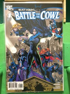 Batman: Battle For The Cowl #1