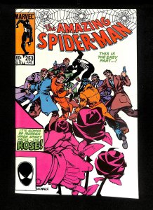 Amazing Spider-Man #253