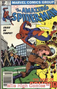 SPIDER-MAN  (1963 Series) (AMAZING SPIDER-MAN)  #221 NEWS JEWEL Very Fine Comics