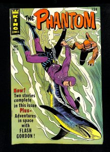 Phantom #19