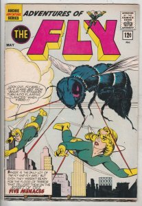 Adventures of the Fly #19 (May-62) FN/VF High-Grade The Fly, Fly-Girl