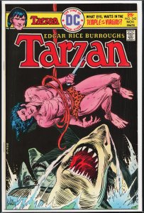 Edgar Rice Burroughs' Tarzan #243 (1975)