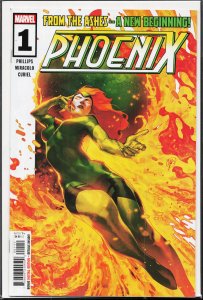 Phoenix #1 (2024) Phoenix