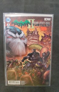 Batman/Teenage Mutant Ninja Turtles II #3 (2018)