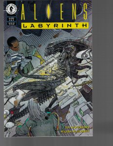 Aliens: Labyrinth #2 (Dark Horse, 1993)