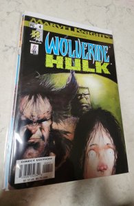 Wolverine/Hulk #4 (2002)