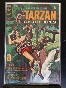 Tarzan #193 (1970)