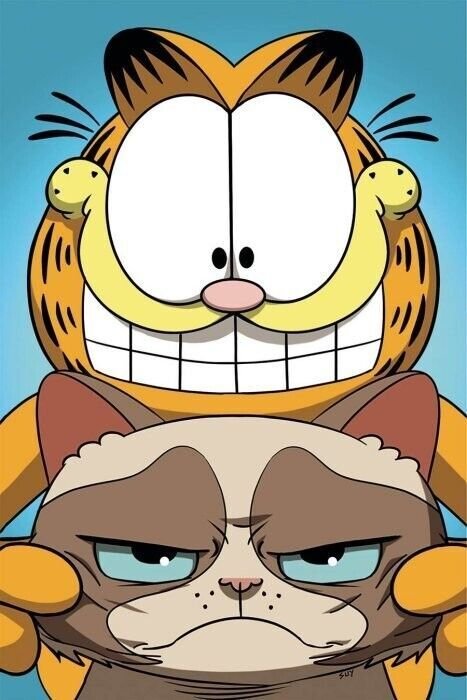 GRUMPY CAT GARFIELD #1 -3 COMPLETE SERIES OF 24 COVERS INCLUDING SIGNED COVER.