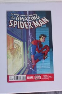The Amazing Spider-Man #700.2  (2014) NM