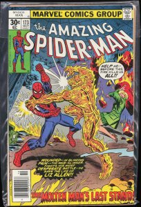 The Amazing Spider-Man #173 (1977) Spider-Man