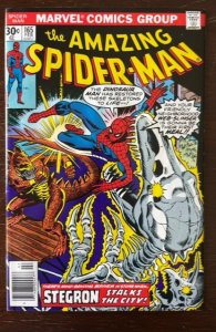 The Amazing Spider-Man #165 (1977)