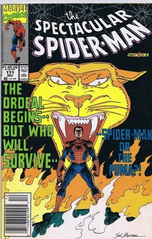 Spectacular Spiderman #171 ORIGINAL Vintage 1990 Marvel Comics