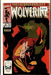 Wolverine #30 (1990) Wolverine