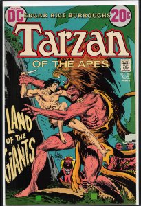 Edgar Rice Burroughs' Tarzan #211 (1972)