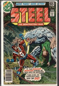 Steel, the Indestructible Man #5 (1978) Steel