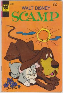 Scamp #18