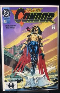 Black Condor #3 (1992)