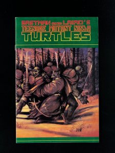 Teenage Mutant Ninja Turtles #31 (1990) FN
