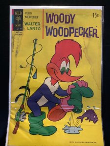 Walter Lantz Woody Woodpecker #119