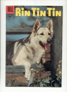 Rin Tin Tin LOT 11  13  14  16  SALE 