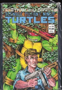 Teenage Mutant Ninja Turtles #12 (1987)