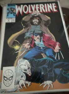 Wolverine #6 (1989) Wolverine 