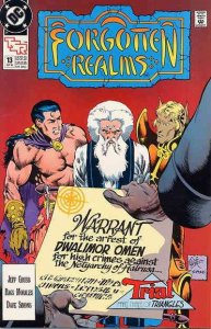 Forgotten Realms (DC) #13 VF ; DC | TSR