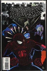 The Spectacular Spider-Man #207 (1993) Spider-Man