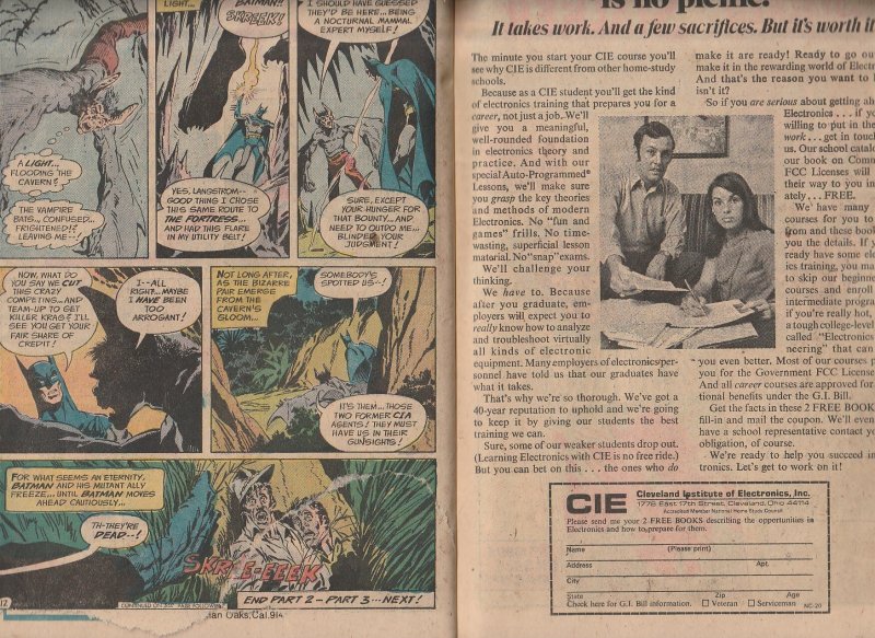 The Brave and the Bold #119 (1975)