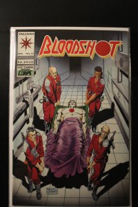 Bloodshot #17 (1994)