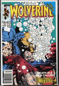 Wolverine #19 (1989) Wolverine