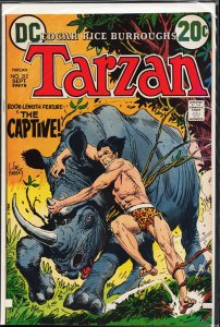 Edgar Rice Burroughs' Tarzan #212 (1972)