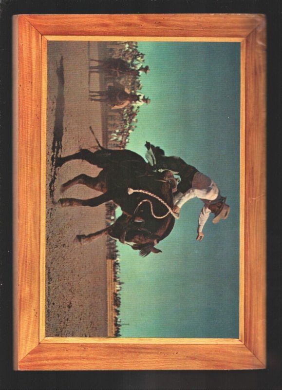 Western Roundup #9  1955 - Dell  -FN- - Comic Book