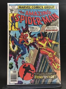 The Amazing Spider-Man #172 (1977)j