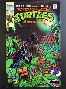 Teenage Mutant Ninja Turtles Adventures #15 (1990)