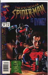 The Spectacular Spider-Man #219 (1994) Spider-Man